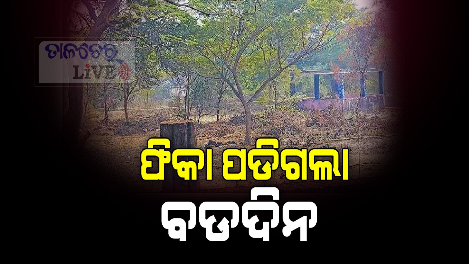 ଅନୁଗୁଳରେ ଫିକା ପଡିଲା ବଡ଼ ଦିନ