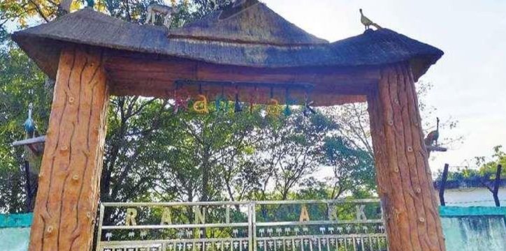 ରାଣୀ ପାର୍କ ଜଙ୍ଗଲ ପ୍ରତି ପର୍ଯ୍ୟଟକ ବିମୁଖ