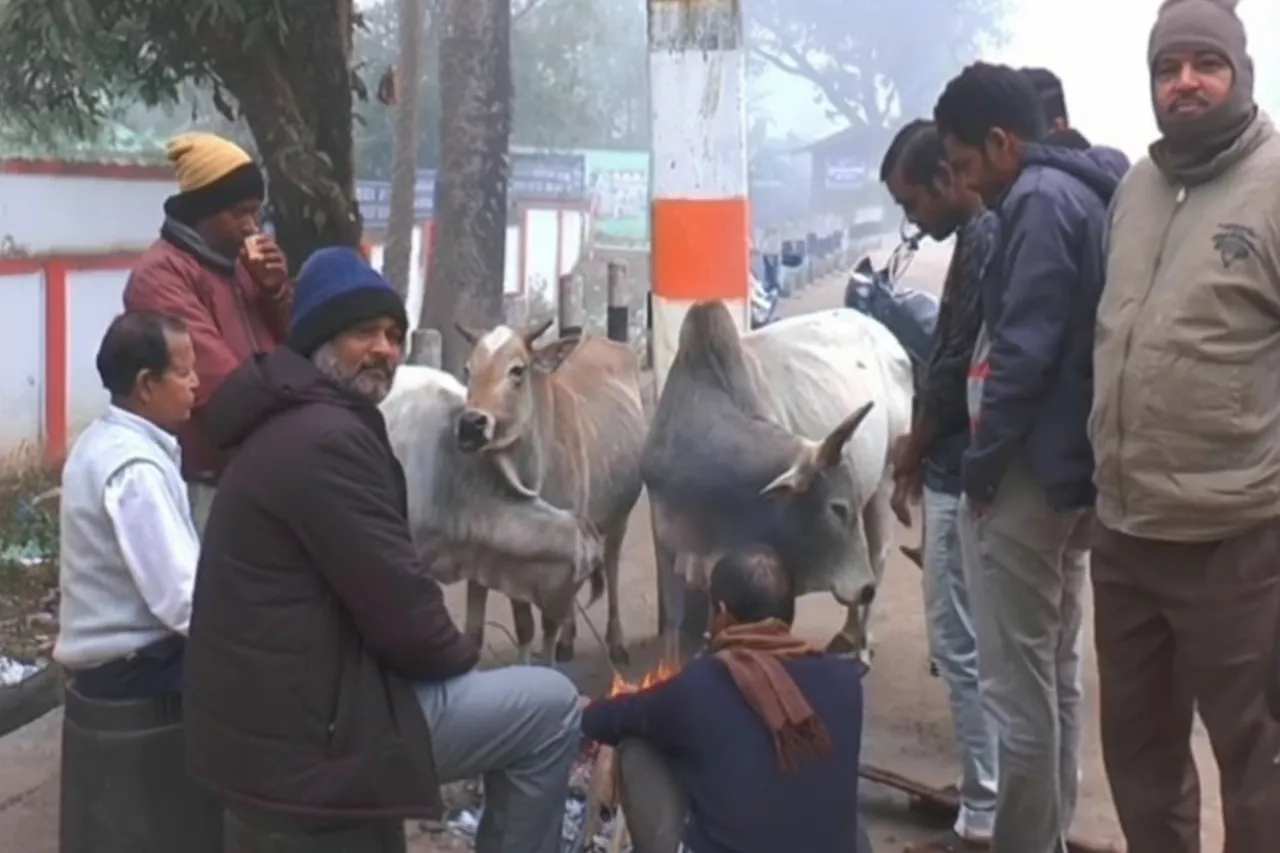 କନ୍ଧମାଳରେ ପ୍ରବଳ ଥଣ୍ଡା ଏବଂ ଘନ କୁହୁଡ଼ି ଜୀବନଯାତ୍ରାକୁ ବାଧାପ୍ରାପ୍ତ