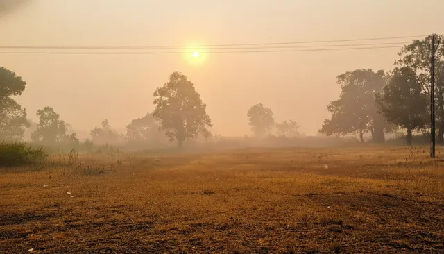 ଓଡିଶା ଉପରେ ଶୀତ ଲହରୀ କବଜା