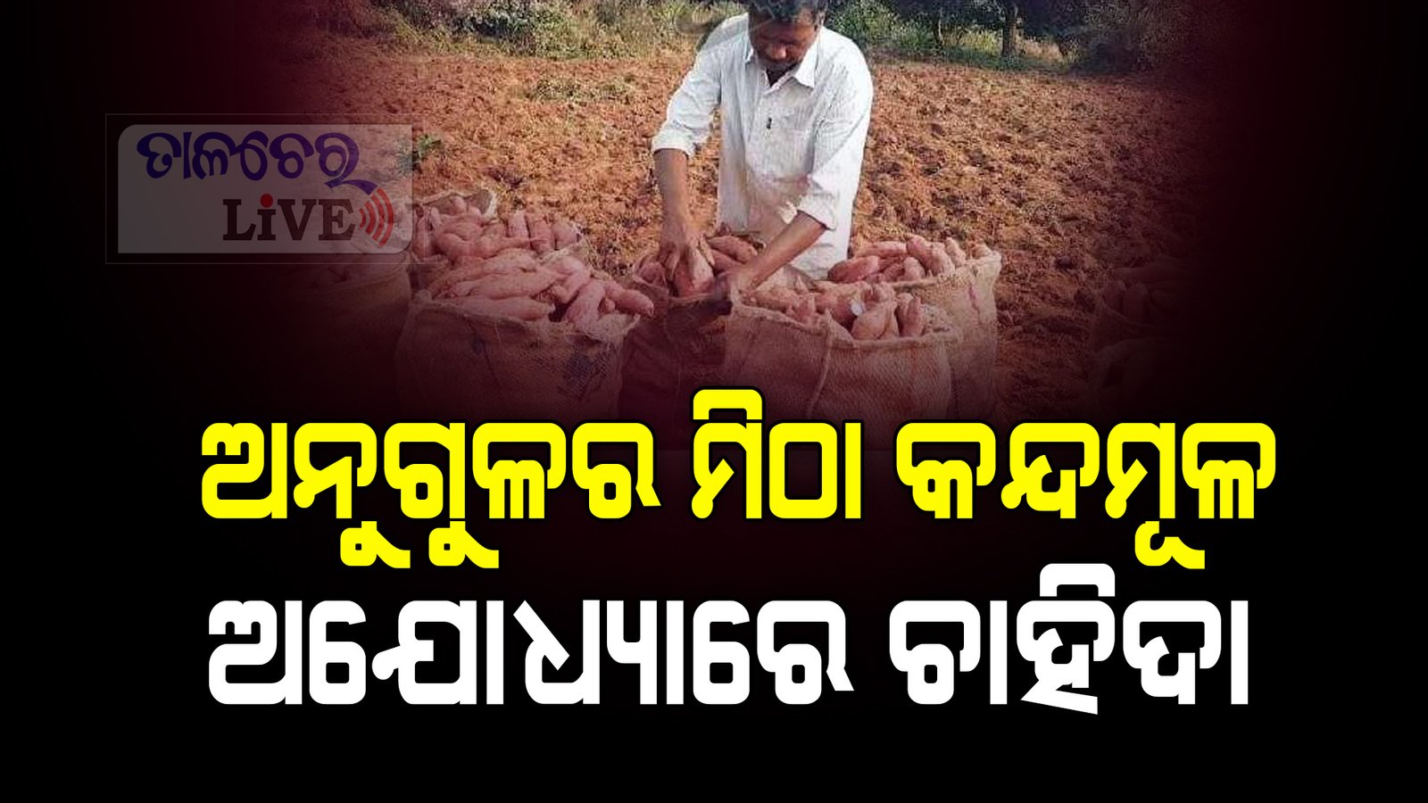 ୧ ଏକରରୁ ୭୦ହଜାର ଲାଭ