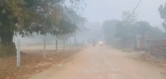 ଘନ କୁହୁଡ଼ି ପାଇଁ&nbsp; ଭୁବନେଶ୍ୱରରେ&nbsp; ଯାତାୟାତ ବାଧାପ୍ରାପ୍ତ