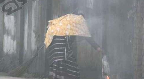 ଅଳିଆ ପୋଡା ଘଟଣାରେ ଏନଜିଟି ଛାଟ