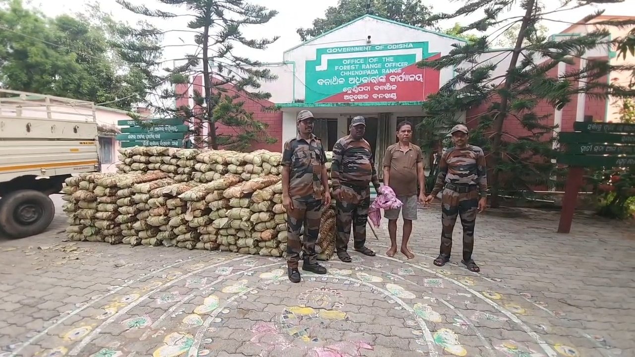ପ୍ରଚୁର ପରିମାଣ ର କେନ୍ଦୁପତ୍ର ସହିତ ପିକଅପ ଭ୍ୟାନ ଜବତ, ଜଣେ ଗିରଫ