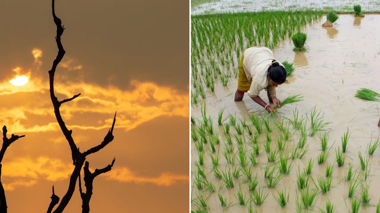 ଏଲ୍ ନିନୋ ବିପଦ କେନ୍ଦ୍ରକୁ ସତର୍କ; ଖରିଫ ଋତୁ ପୂର୍ବରୁ ଚାଷୀମାନଙ୍କୁ ପୂର୍ଣ୍ଣ ସୁରକ୍ଷାର ଆଶ୍ୱାସନା