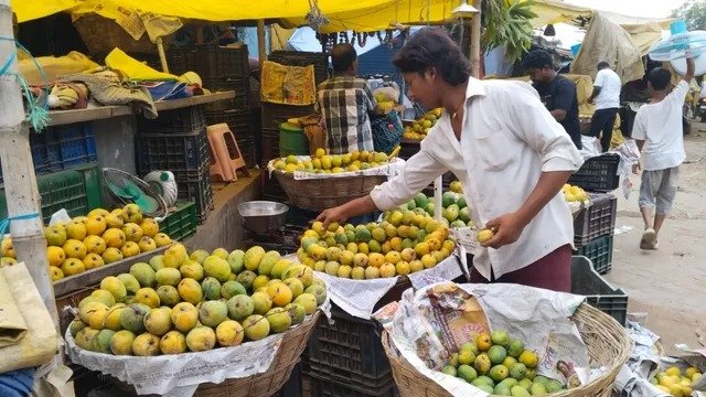 ସ୍ୱାଦରେ ସମୃଦ୍ଧ, ସୁଲଭ ମୂଲ୍ୟ: ମୁଜାଫରପୁରରେ ପ୍ରଚୁର ଆମ୍ବ ଅମଳ