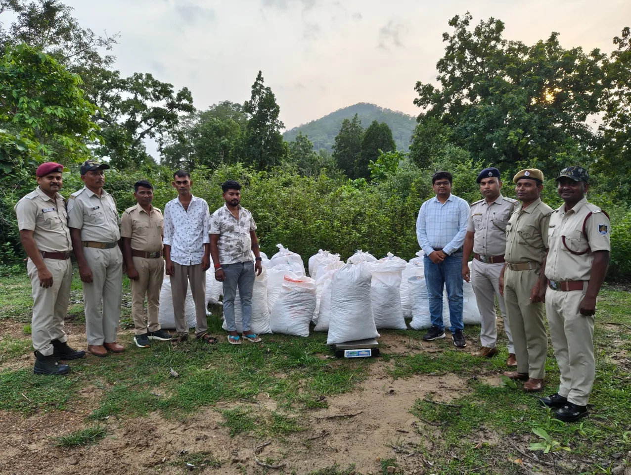ମାଲକାନଗିରିରେ ୧୦ କୋଟି ଟଙ୍କା ମୂଲ୍ୟର ଗଞ୍ଜେଇ ଜବତ