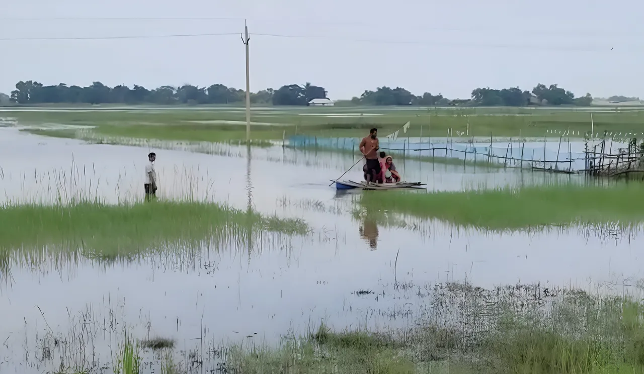 ଆମ୍ବୁଲାନ୍ସ ଆସିପାରିଲାନି,ଗର୍ଭବତୀଙ୍କ ପାଇଁ ଜୀବନ ରକ୍ଷକ ସାଜିଲା ଘରର କବାଟ